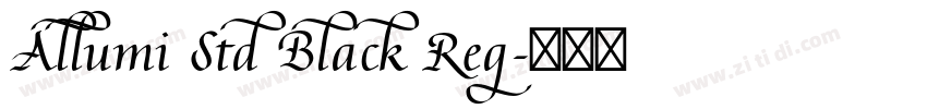 Allumi Std Black Reg字体转换